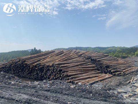 河道打樁為什么選擇松木樁來處理軟地基？-松木樁施工使用范圍